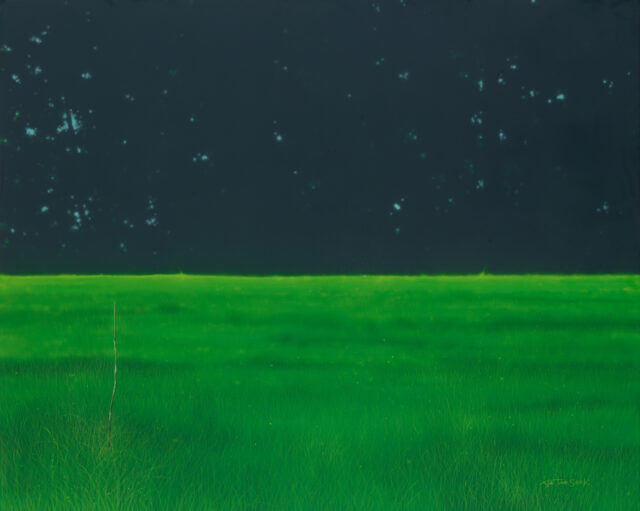 주태석 | Nature - Image | 2017 | Acrylic on Canvas | 162.2 x 130.3 cm